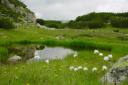 bulgaria-rila-05.jpg