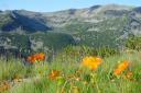 bulgaria-rila-06.jpg